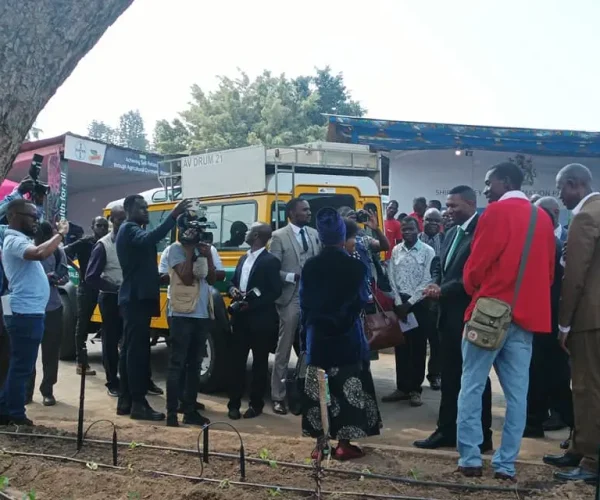 370455688_612942964343322_2297545951257233811_n