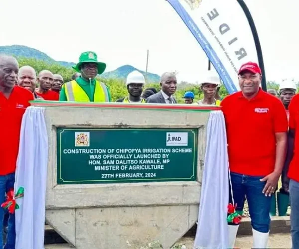 430109078_715008810803403_9176518371923801737_n